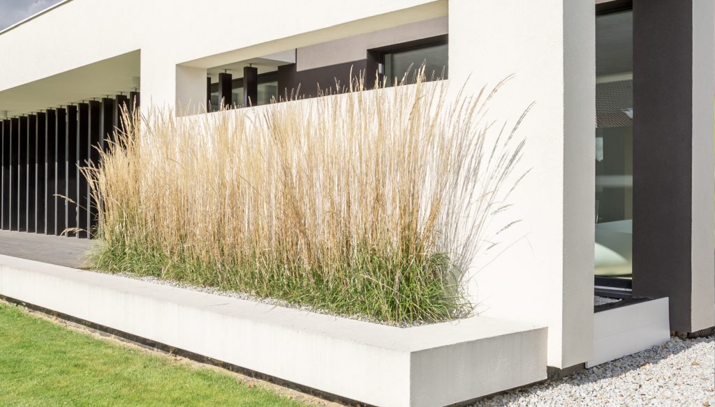 Außenfassade eines Hauses mit Beet.