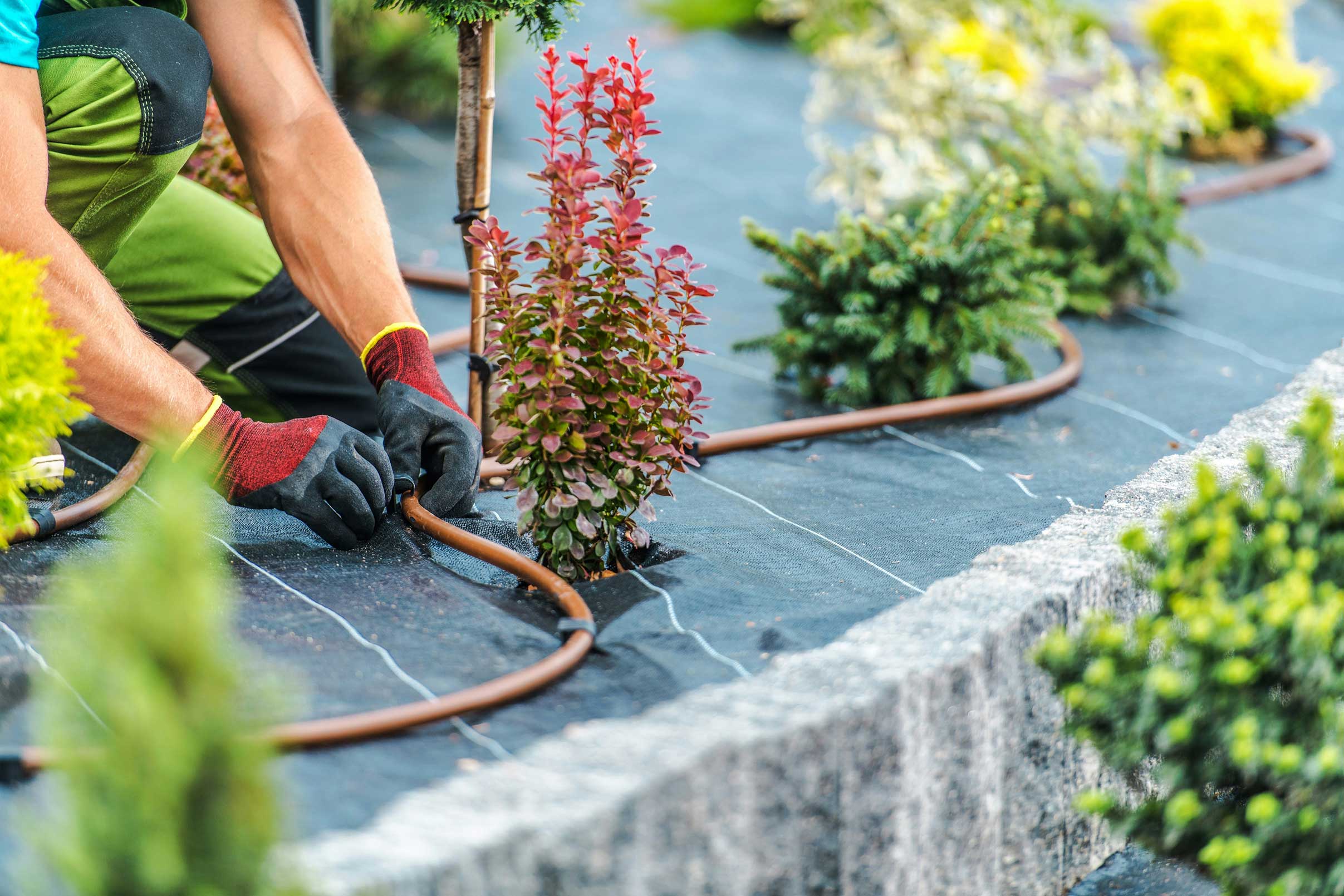 Bild eines Mannes der Schläuche im Vorgarten verlegt.