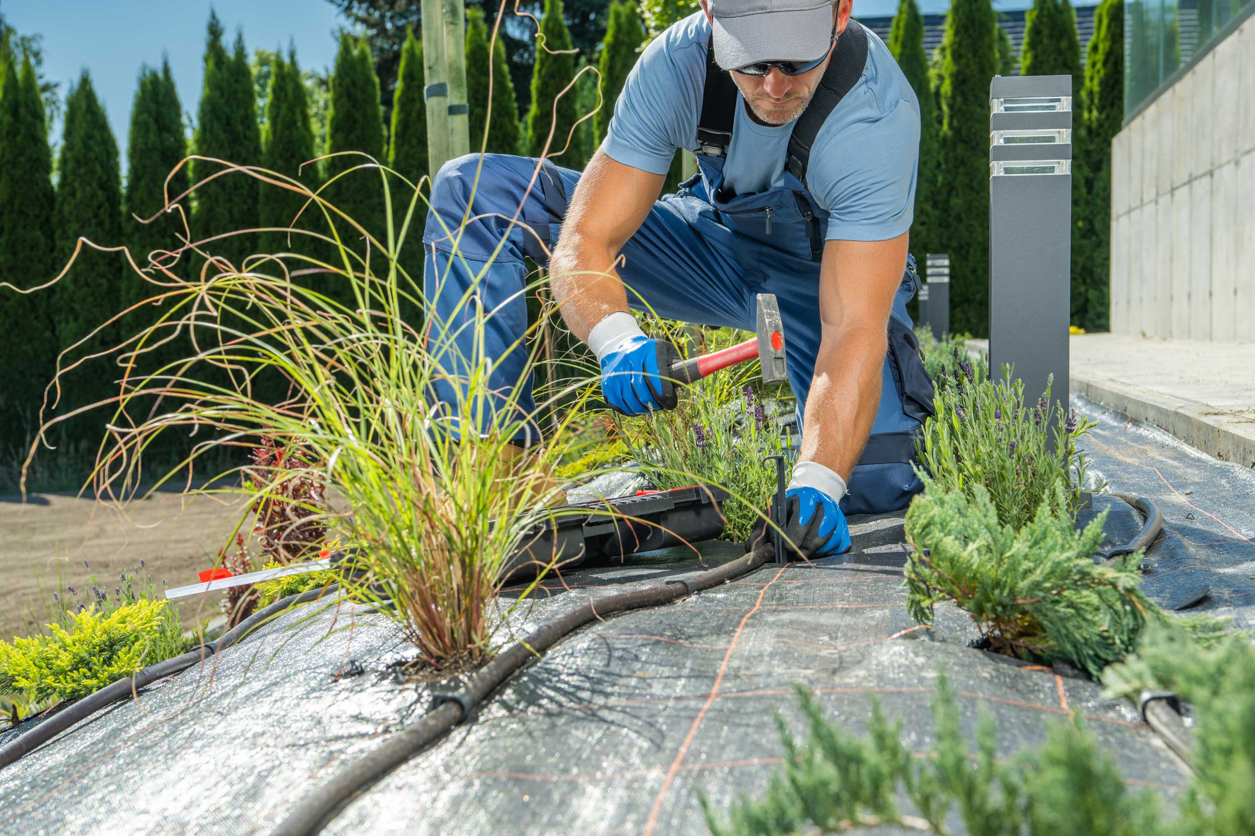 Bild eines Handwerkers der Schläuche in einem Blumenbeet verlegt.