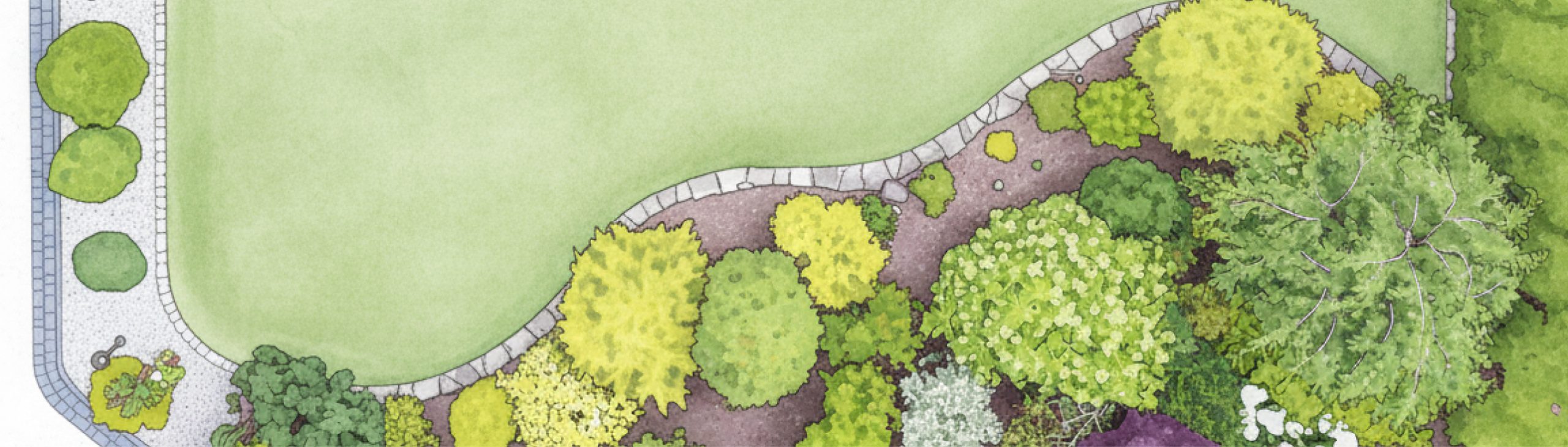 Zeichnung eines sTopshot eines Gartens mit Grünfläche und Bepflanzung.