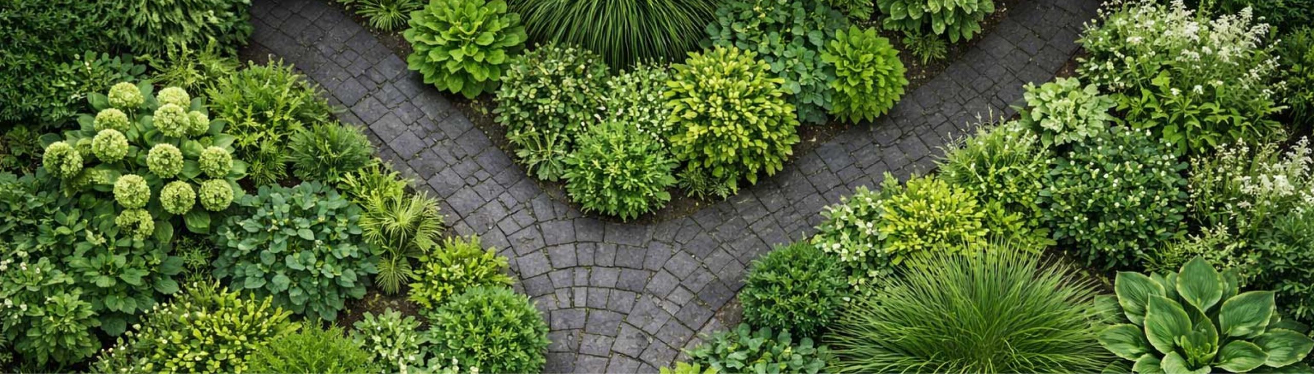 Topshot Garten mit einem Weg der sich gabelt, drumherum sind Pflanzen.
