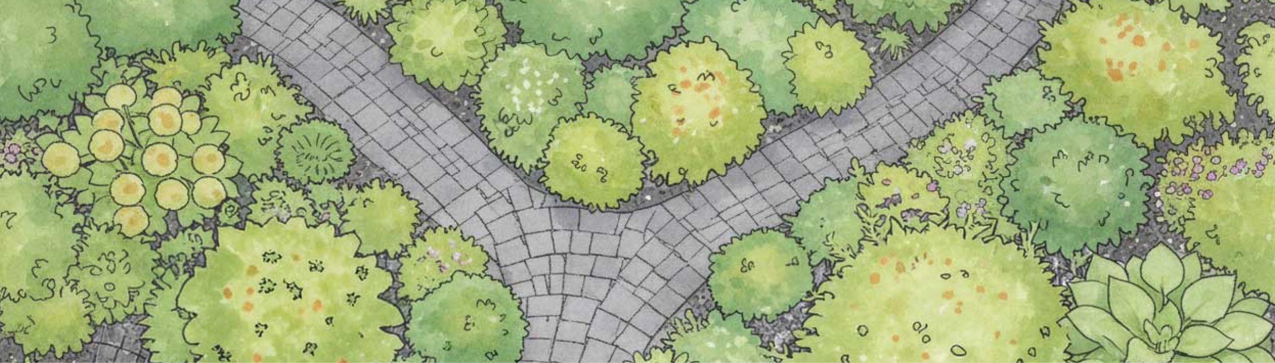 Zeichnung eines Topshot Gartens mit einem Weg der sich gabelt, drumherum sind Pflanzen.