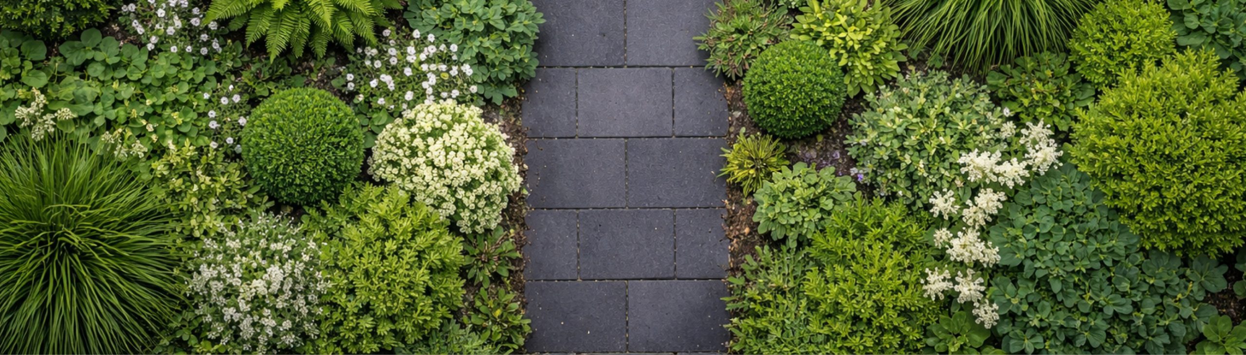 Topshot Steinweg mit Pflanzen drumherum.